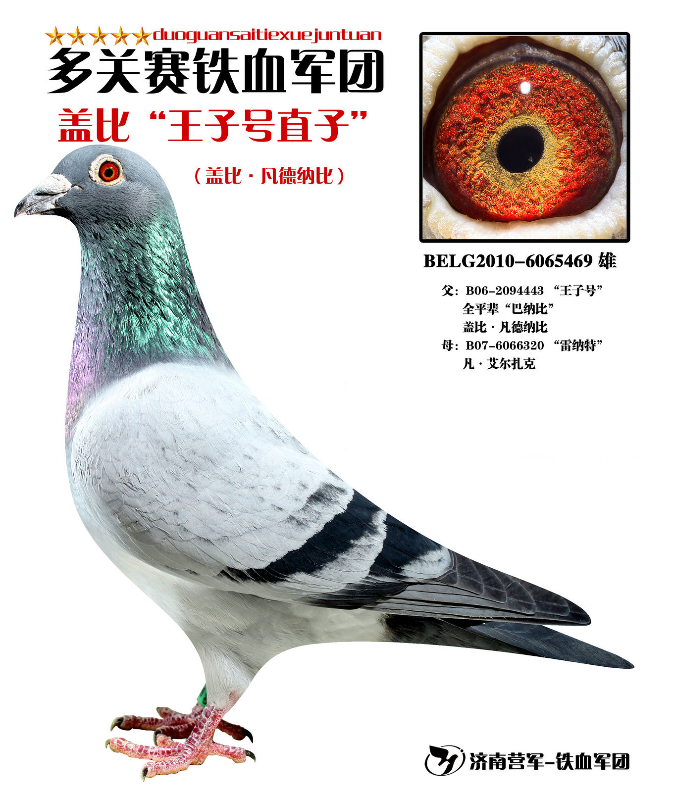 盖比"王子号"直子