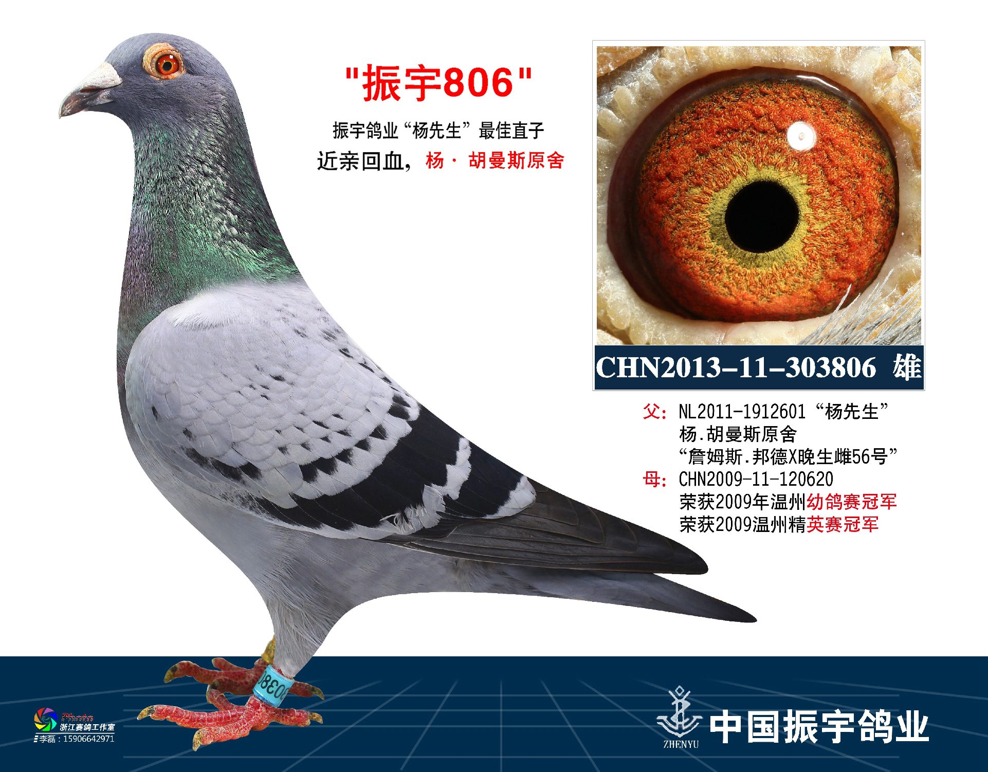振宇806
