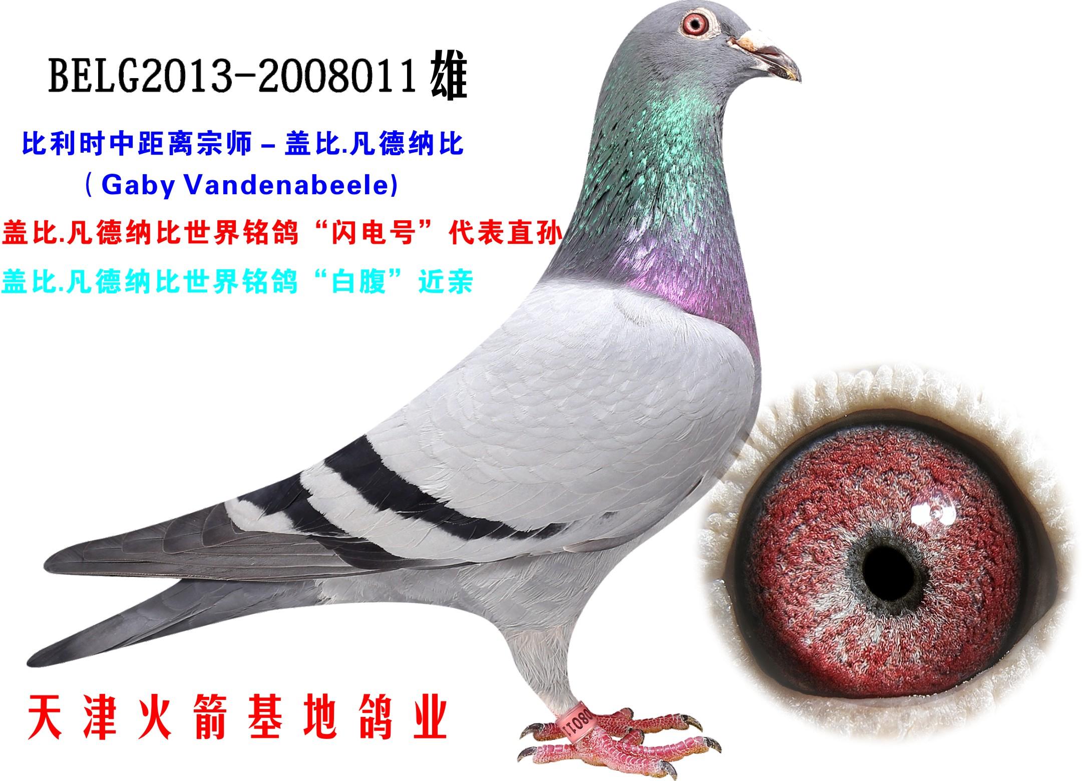 wȡWֱ̖O