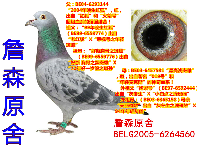 詹森原舍