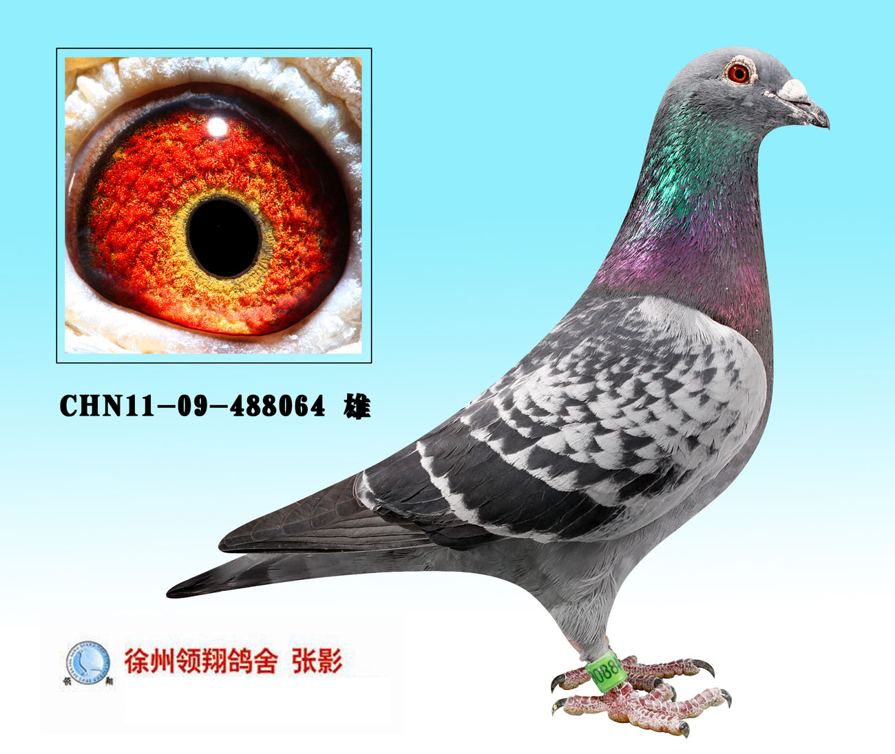 CHN2011-09-488064