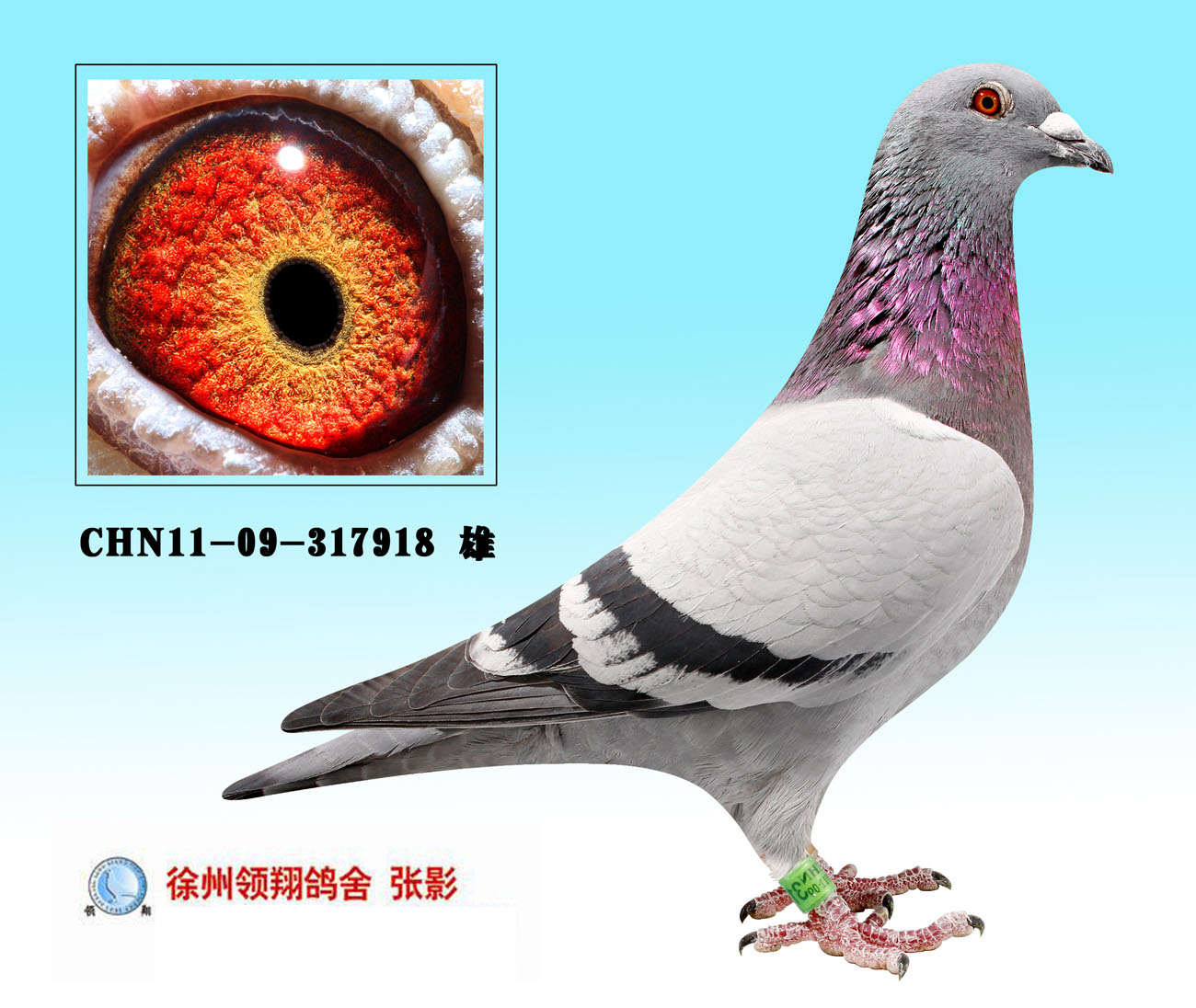 CHN2011-09-317918