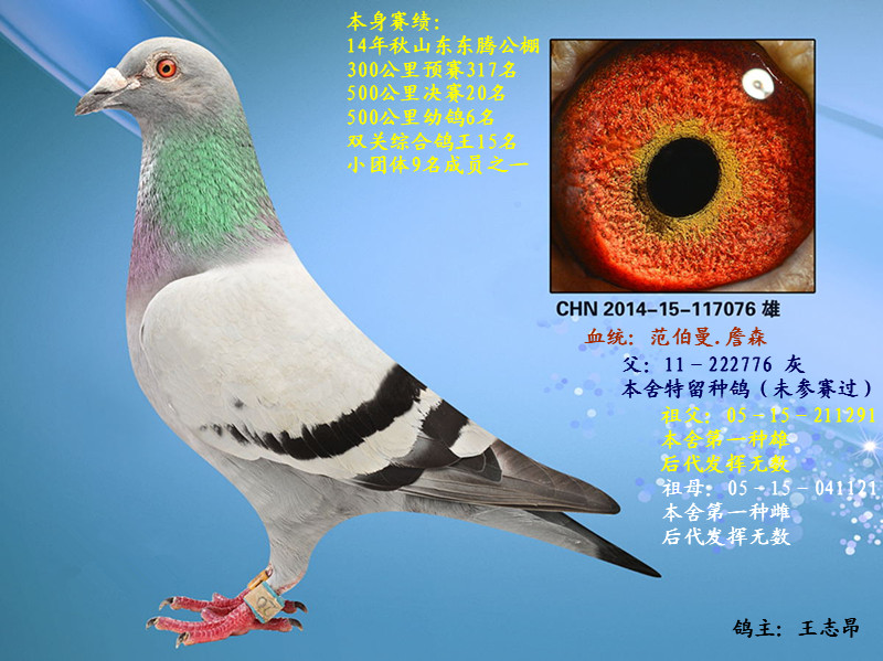 1420˫15׸69