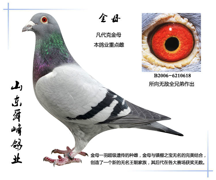 ��ĸ����ת�ã�