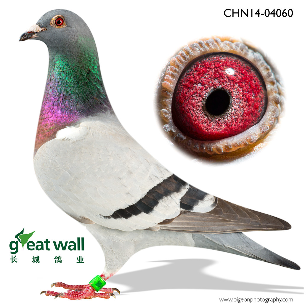 2014_(chung)P(gun)15
