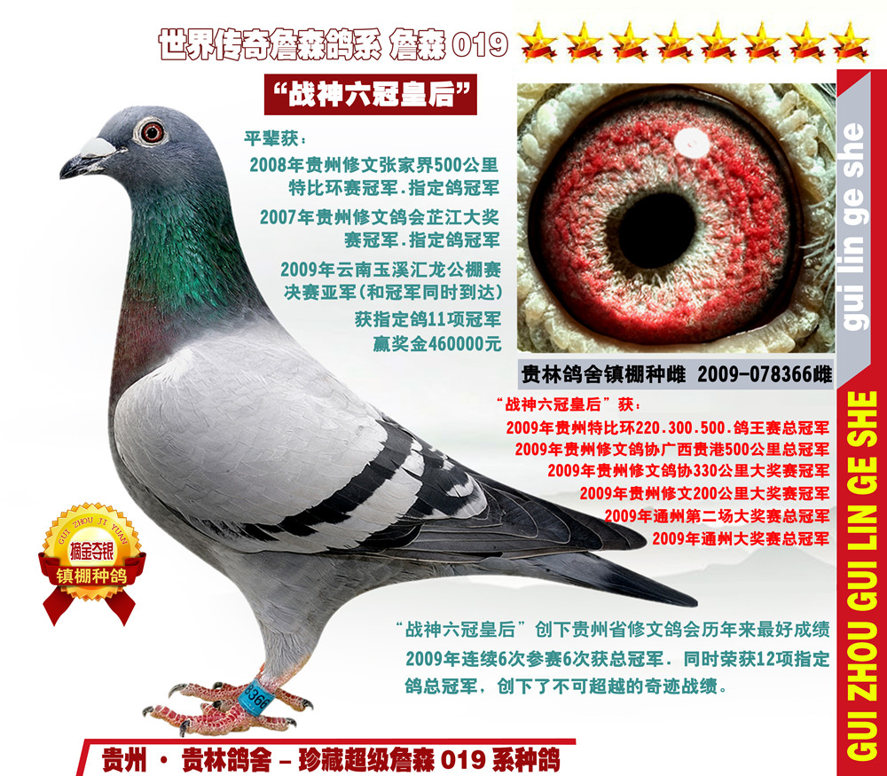 ι܊E(zhn)񡱷uƷ