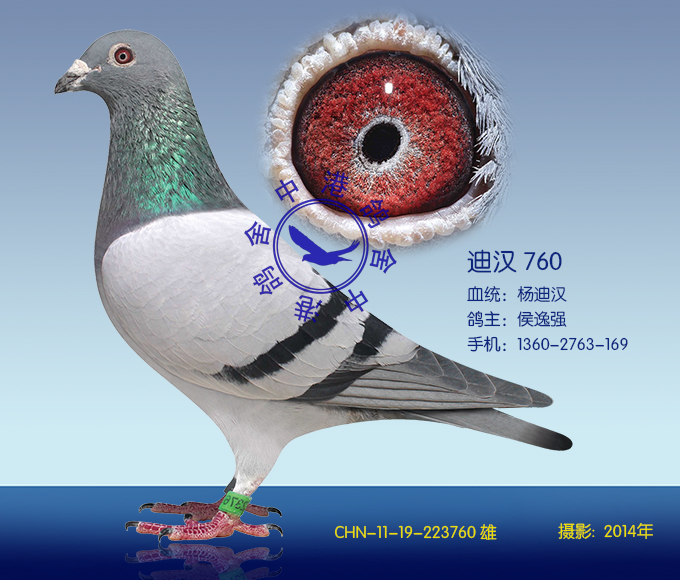 迪汉760(非卖品)