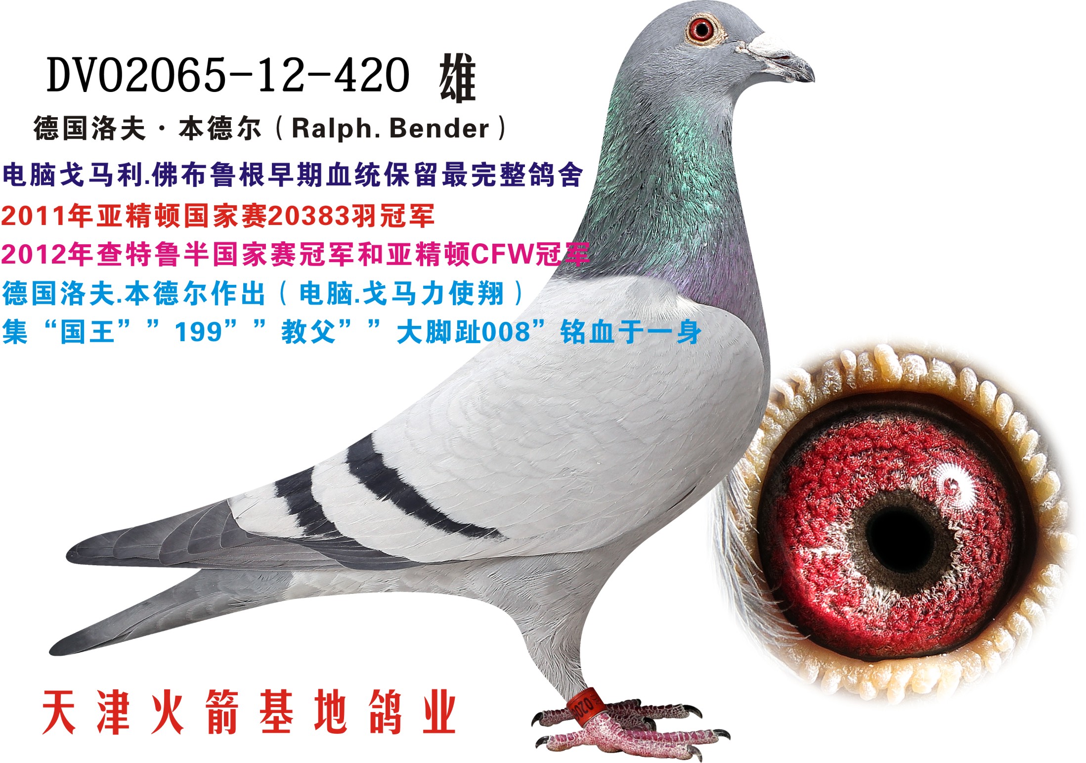XR-9