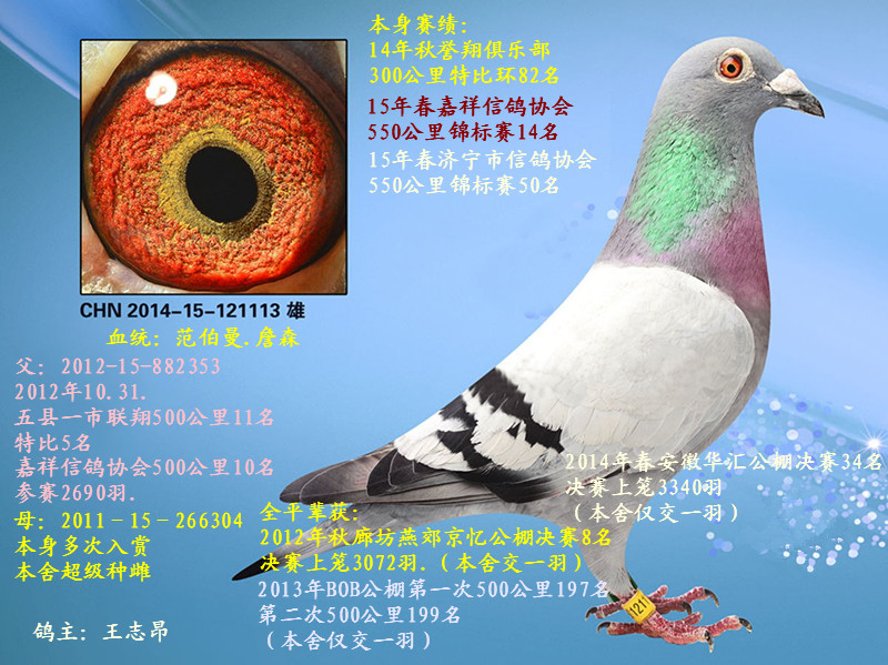 55014۱