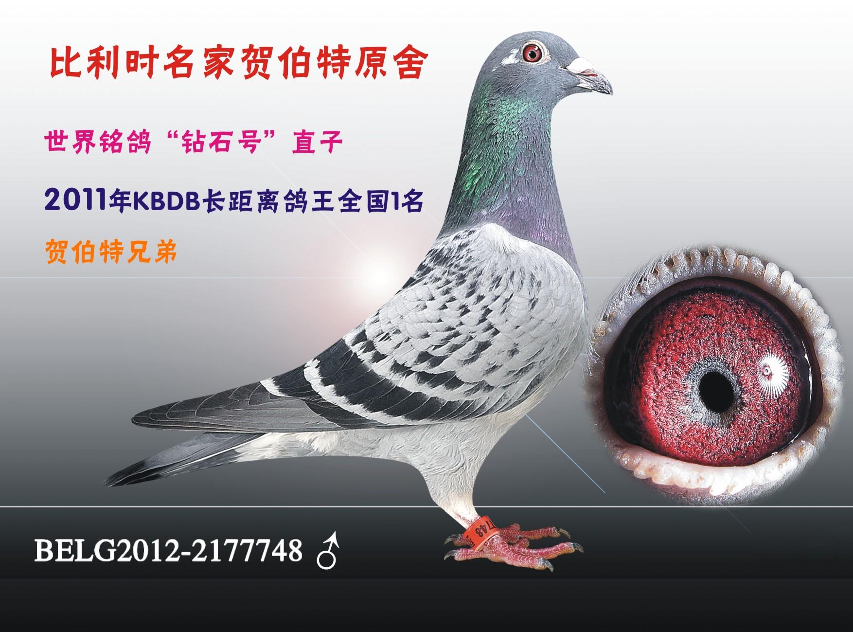 @ʯ̖(ho)ֱ