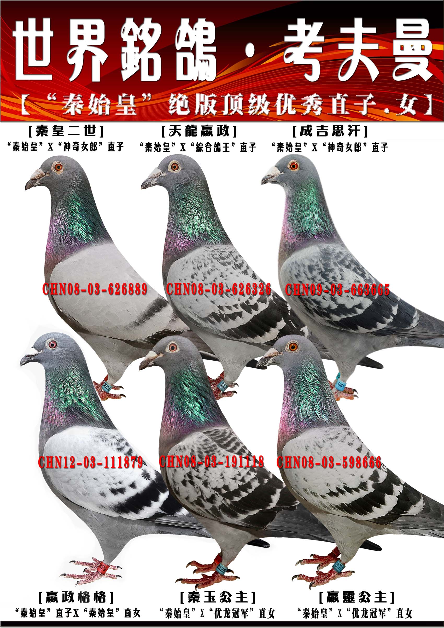 "秦始皇"直子x"秦始皇"直女