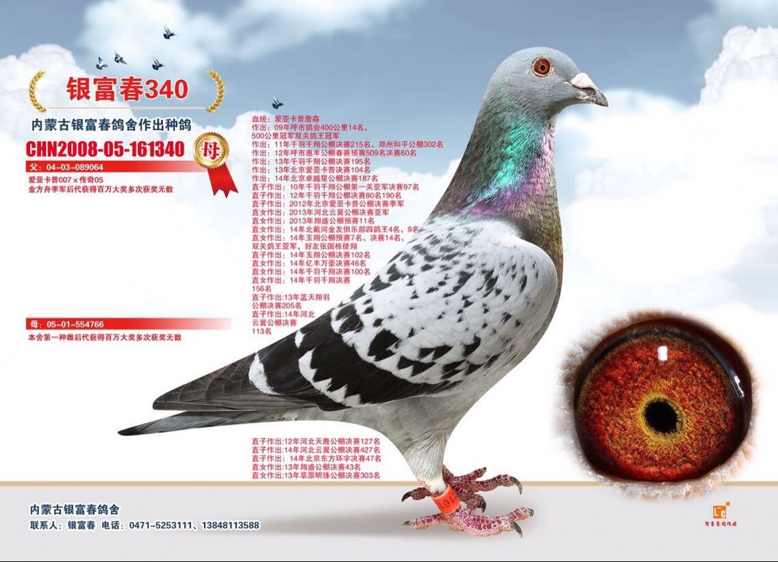 爱亚卡普007x传奇05只供欣赏