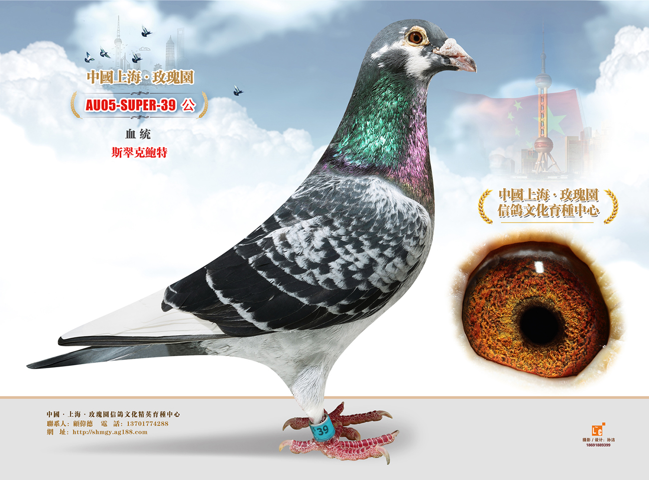 斯翠克鲍特039_上海玫瑰园_ag188.com爱鸽商城_中国