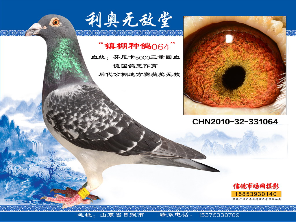 芬尼卡
