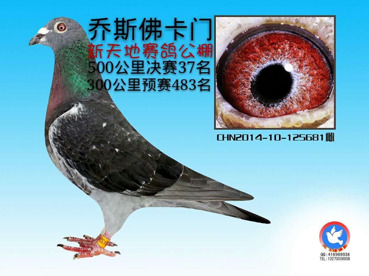乔斯佛卡门