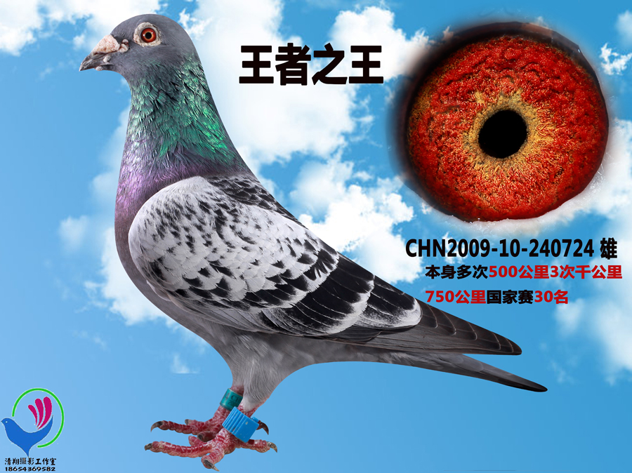 王者之王
