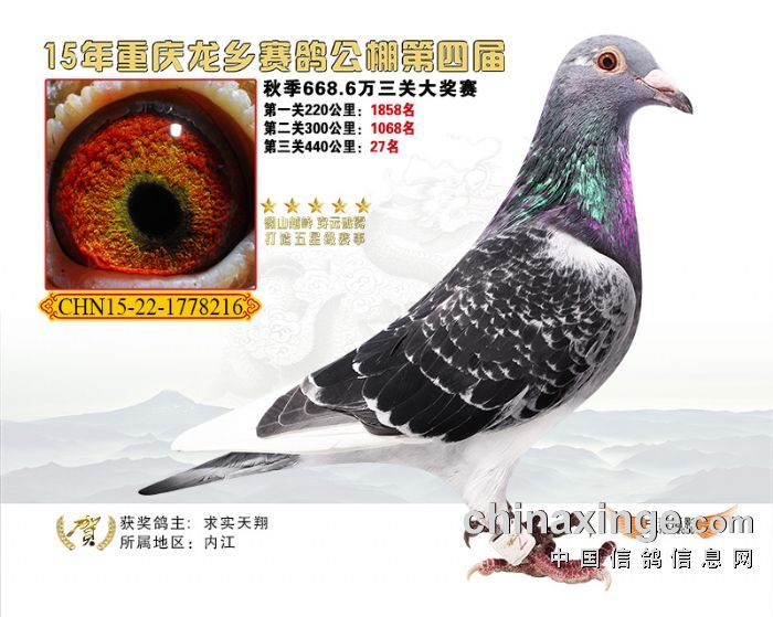 15年重庆龙乡公棚决赛27名【已售】