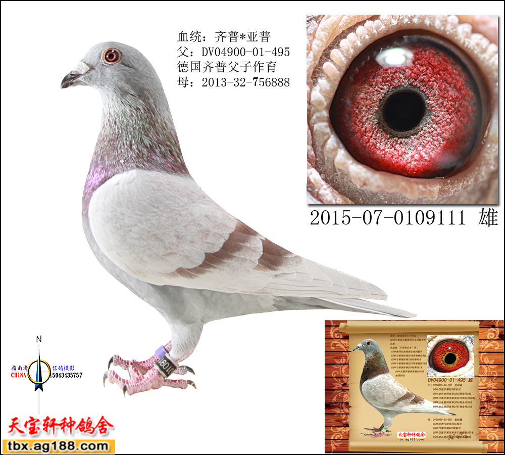 ���������� ֱ��