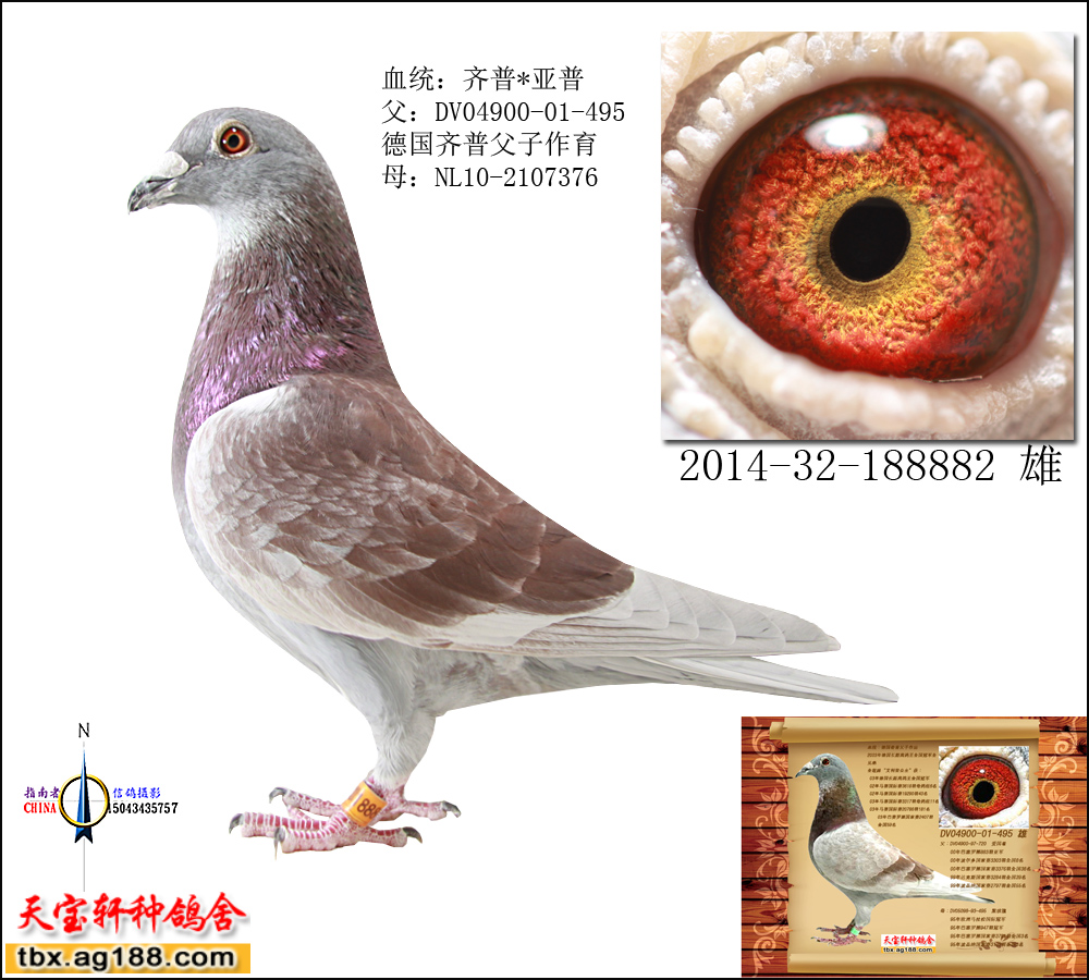 ���������� ֱ��