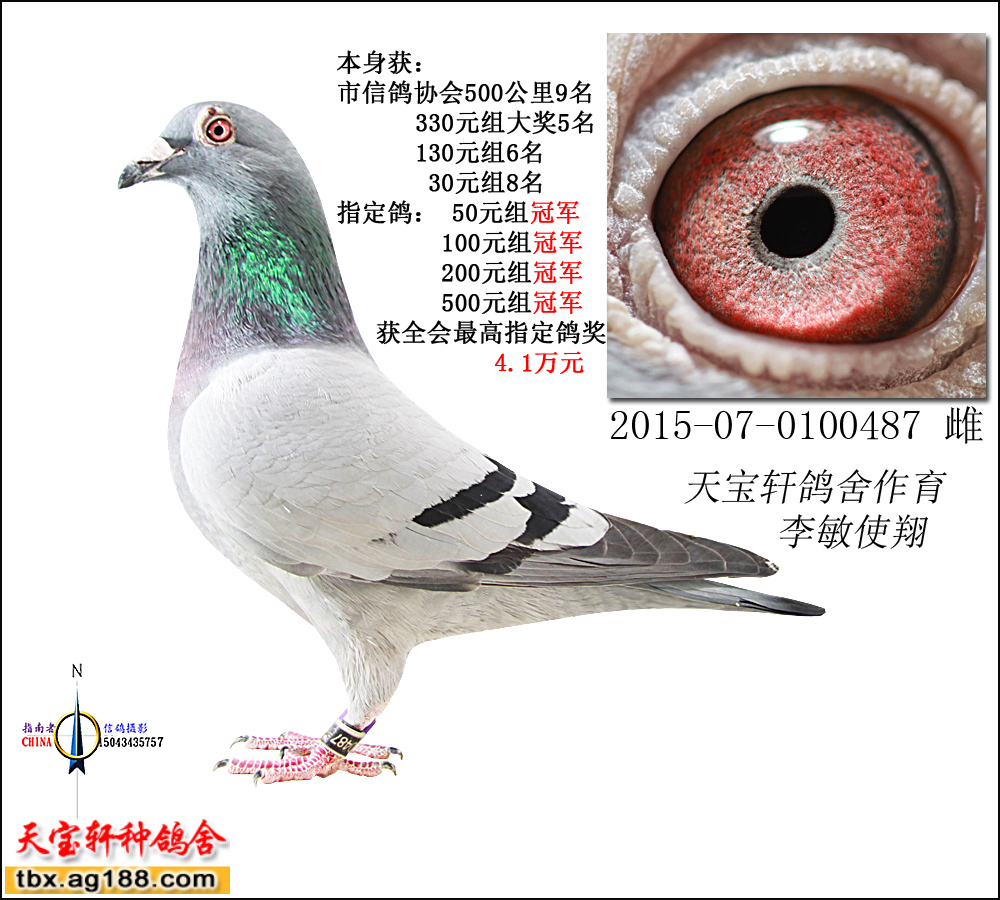 15���彩������