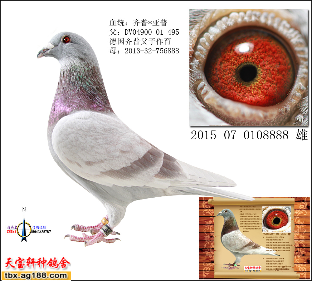 ���������� ֱ��