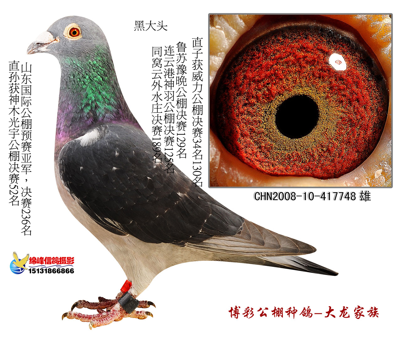 黑大头图片