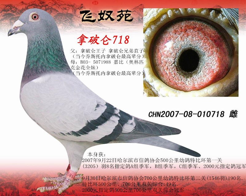 ˹Ѓ(ni)Ɓ718ʼȫã