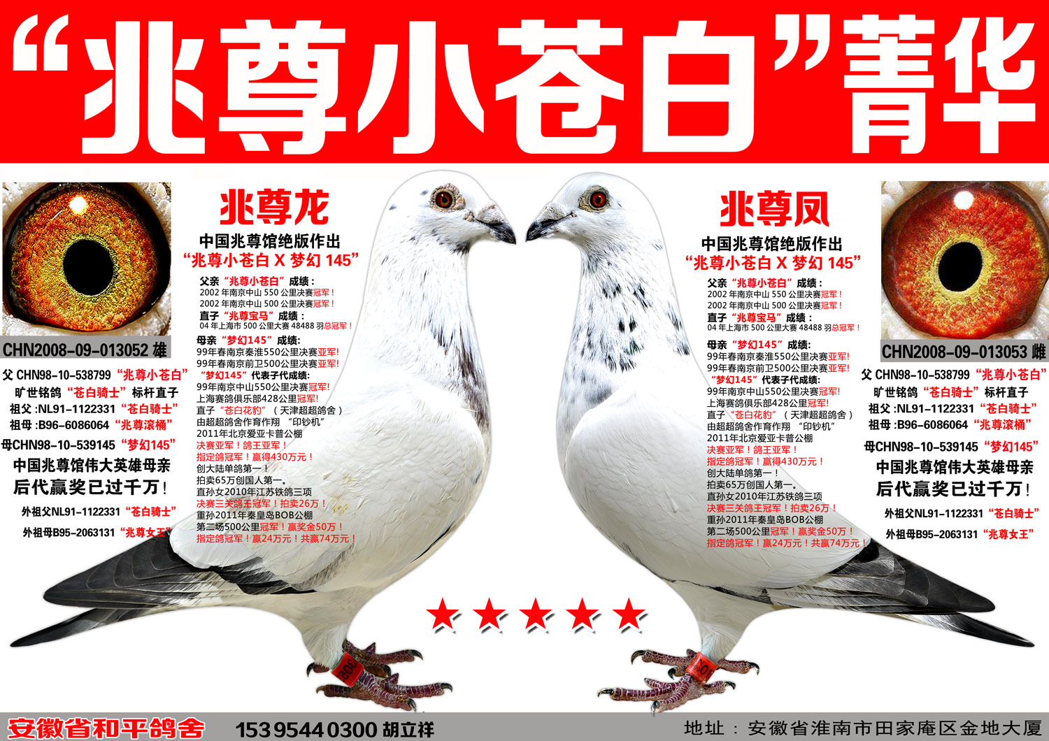 苍白骑士王牌"兆尊小苍白"梦幻菁华(一)