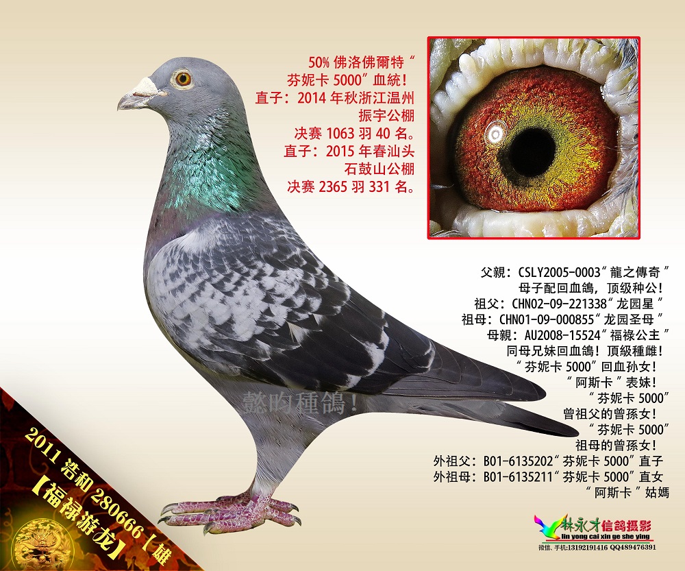 [ݿ5000O