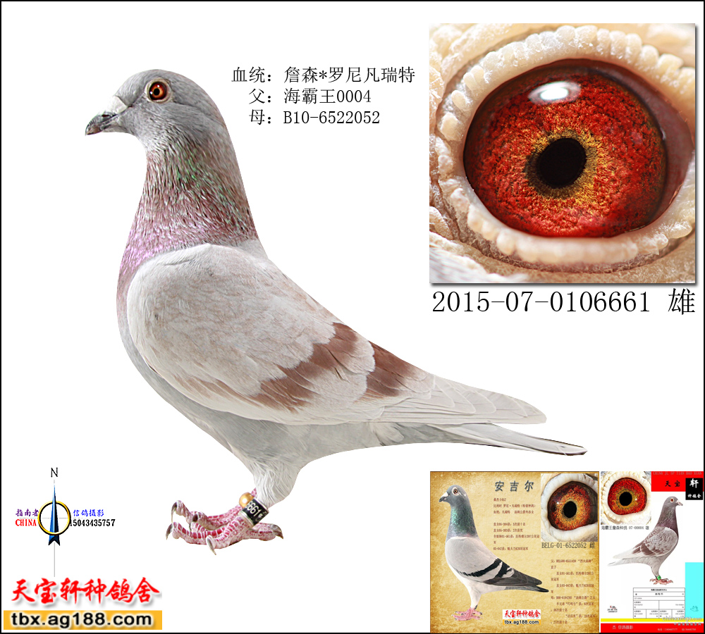 ɣ��ʿ052���_�ᡤ�����أ�