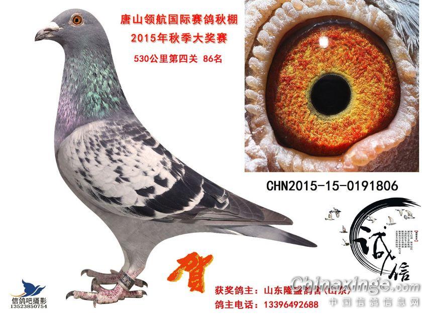 �캽�������86������