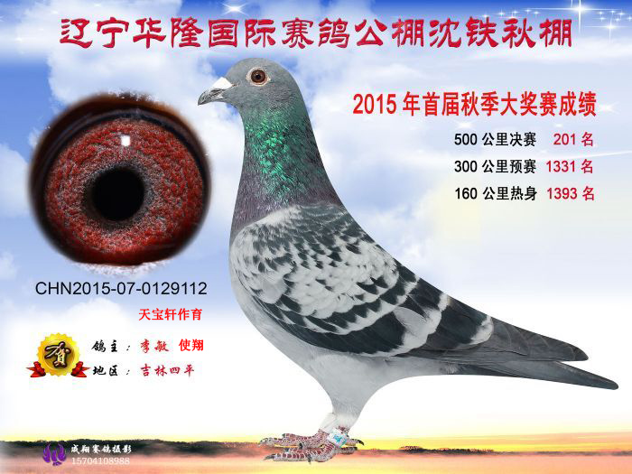 �A¡���F����@����