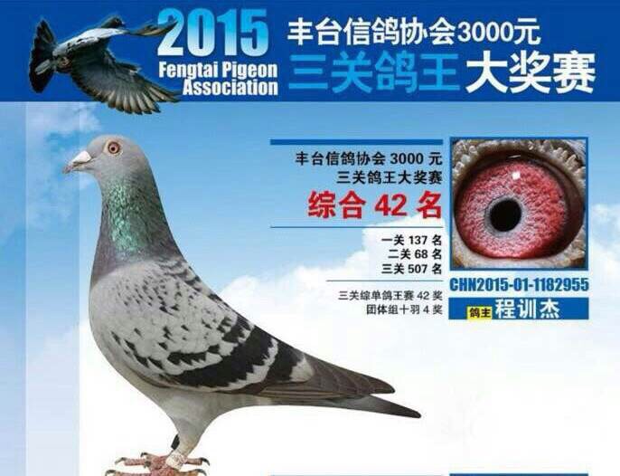 S_(ti)3000رȾC42F(tun)w4