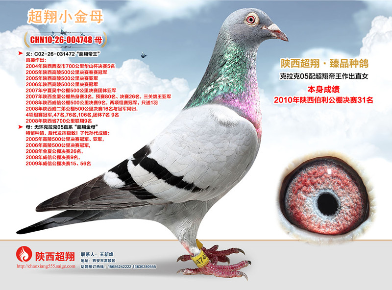 超翔小金母