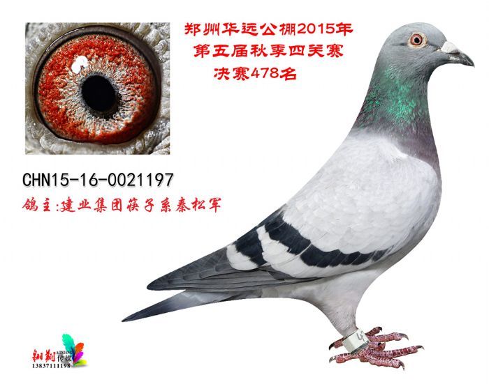Ah(yun)Qِ478