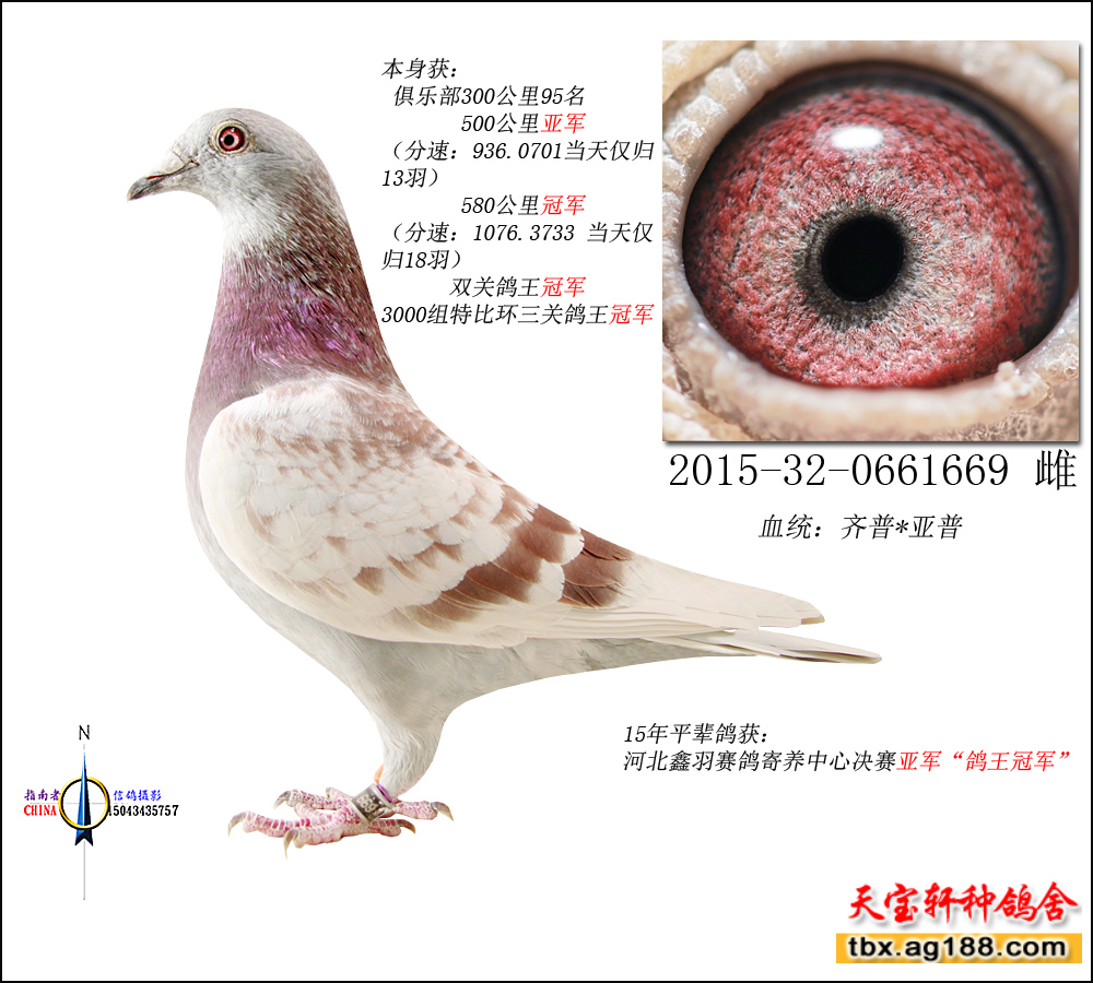 ���P������܊