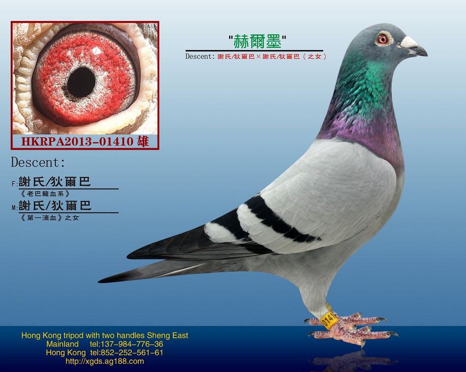 ڡѪx/Ҡͣնī