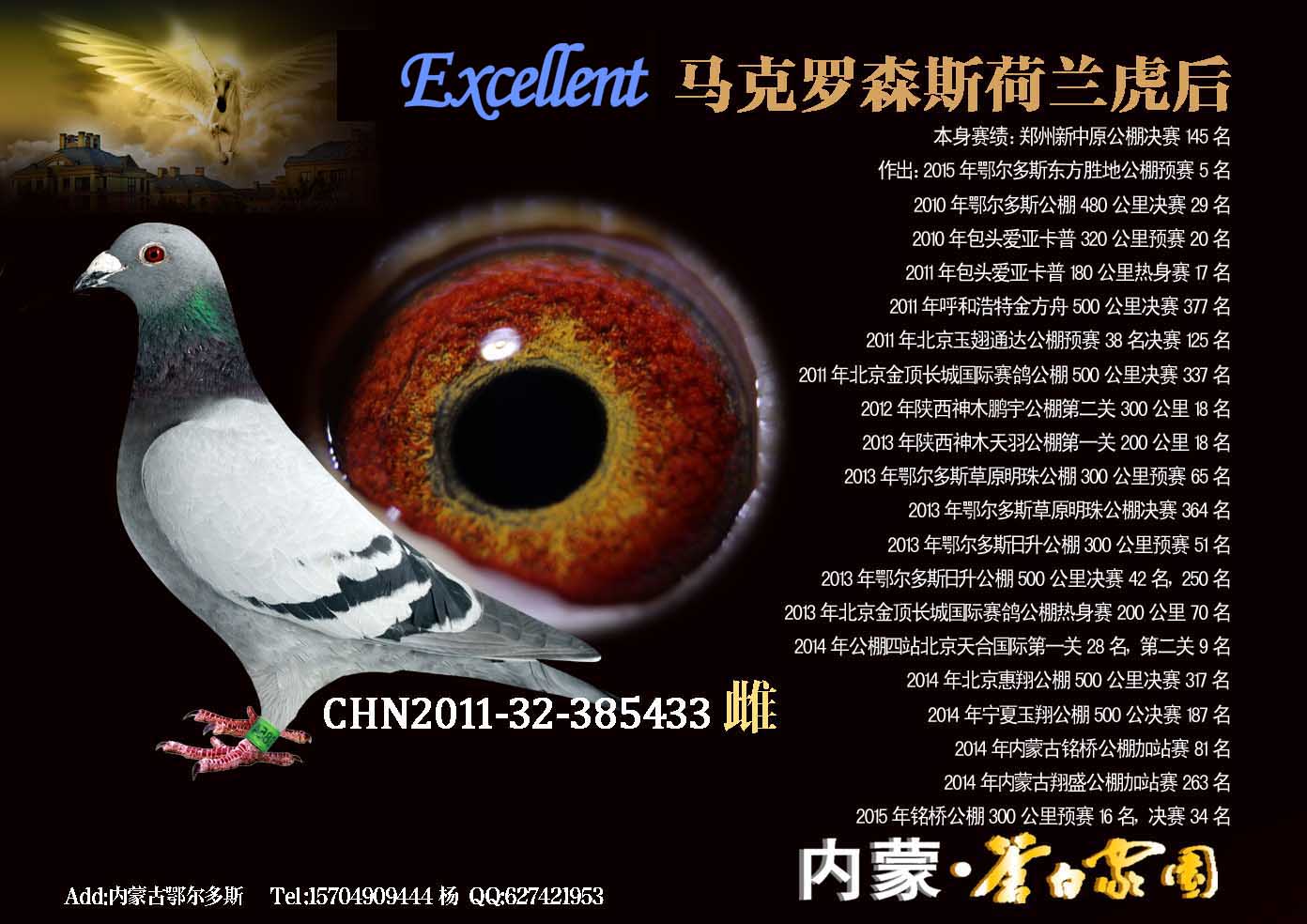 马克罗森斯虎后直系