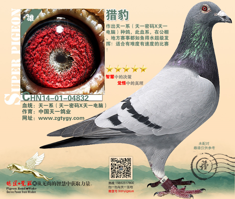 中国天一猎豹