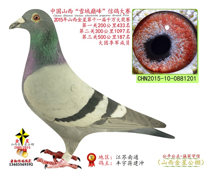 山西金星公棚