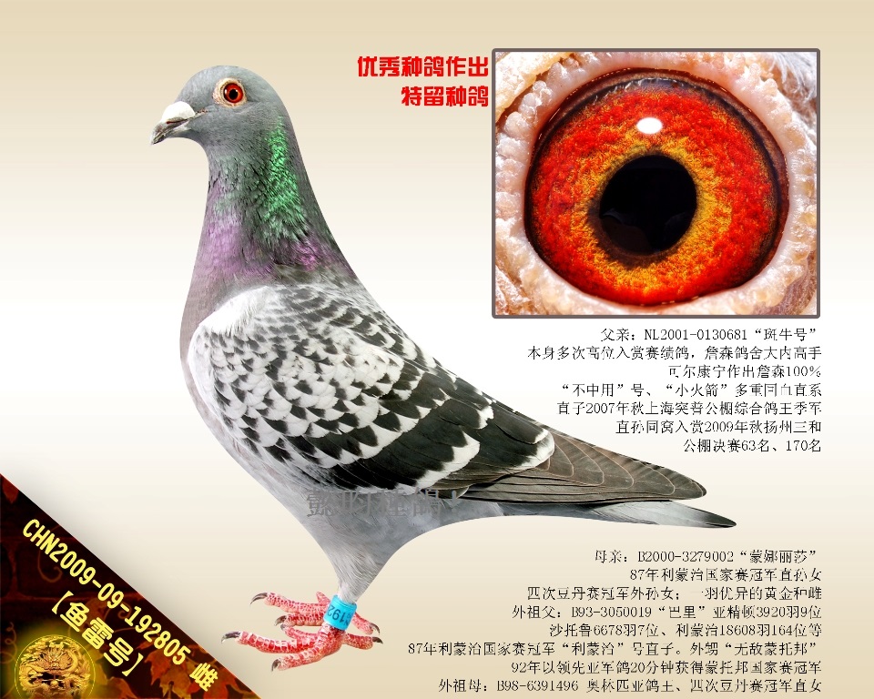 ~̖ţֱ̖Ů