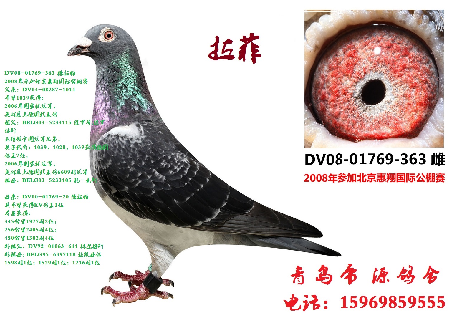 德拉帕原舍"拉菲"