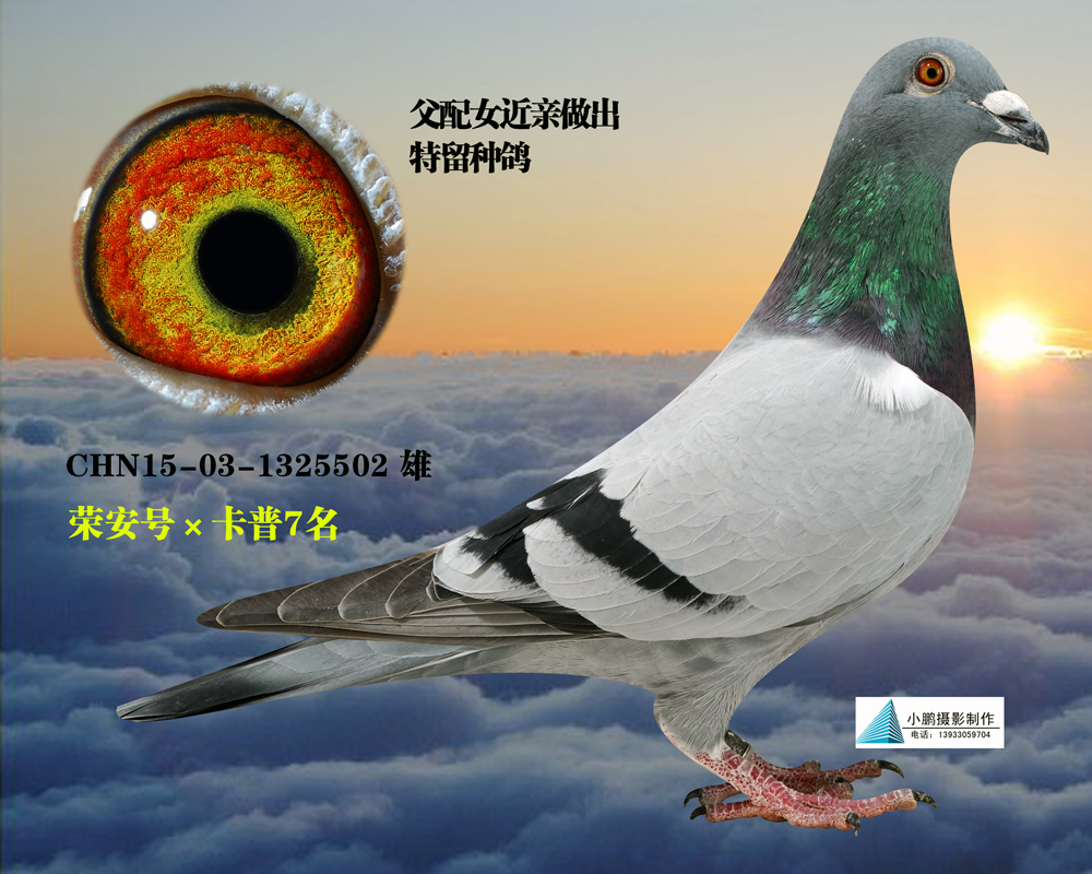 7Ѫ