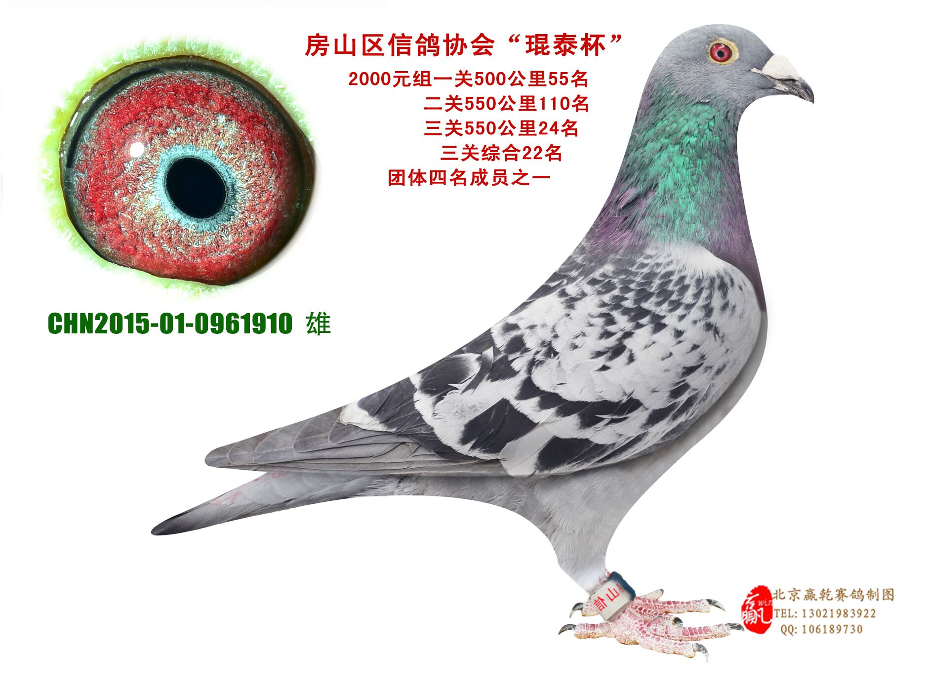 Xֱӡr(ji)ߡ