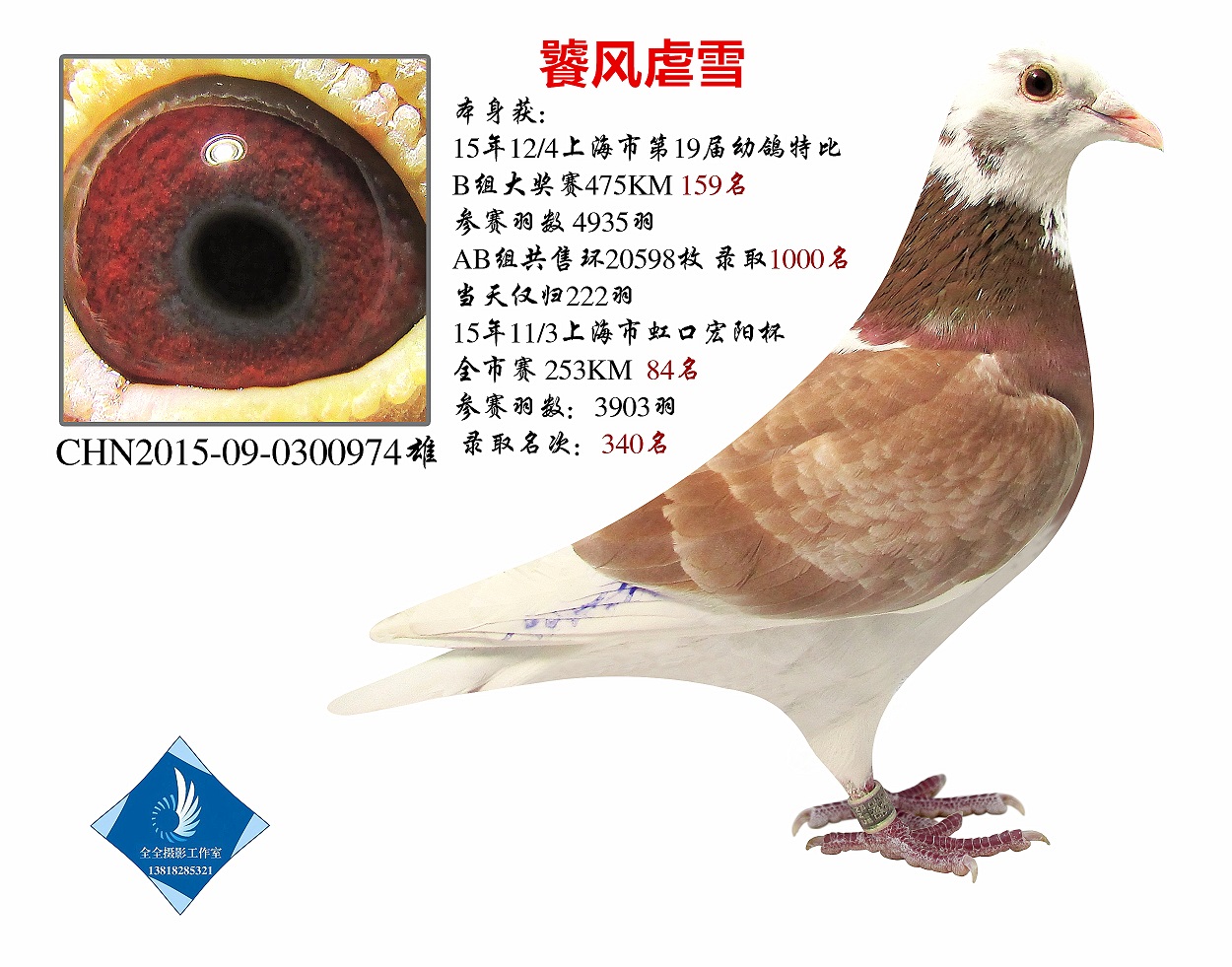 15ϺرBM D(zhun)