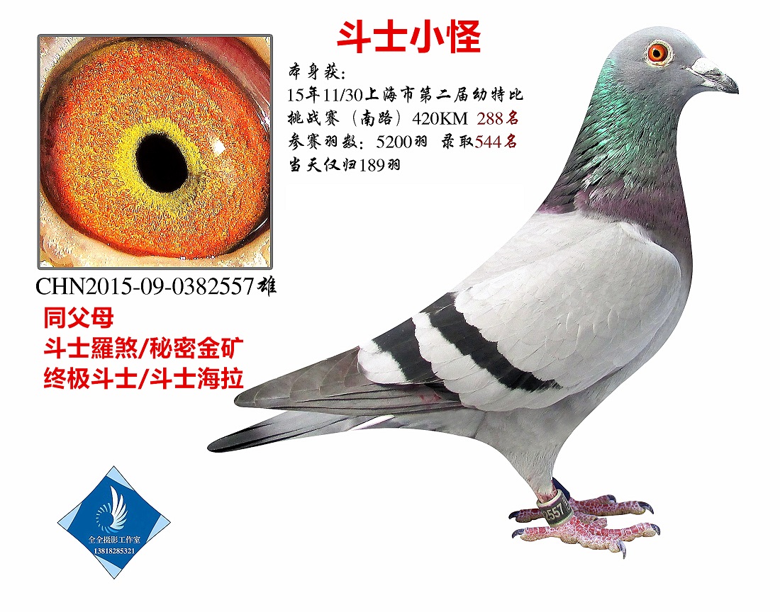 15(zhn)ِر 288 D(zhun)