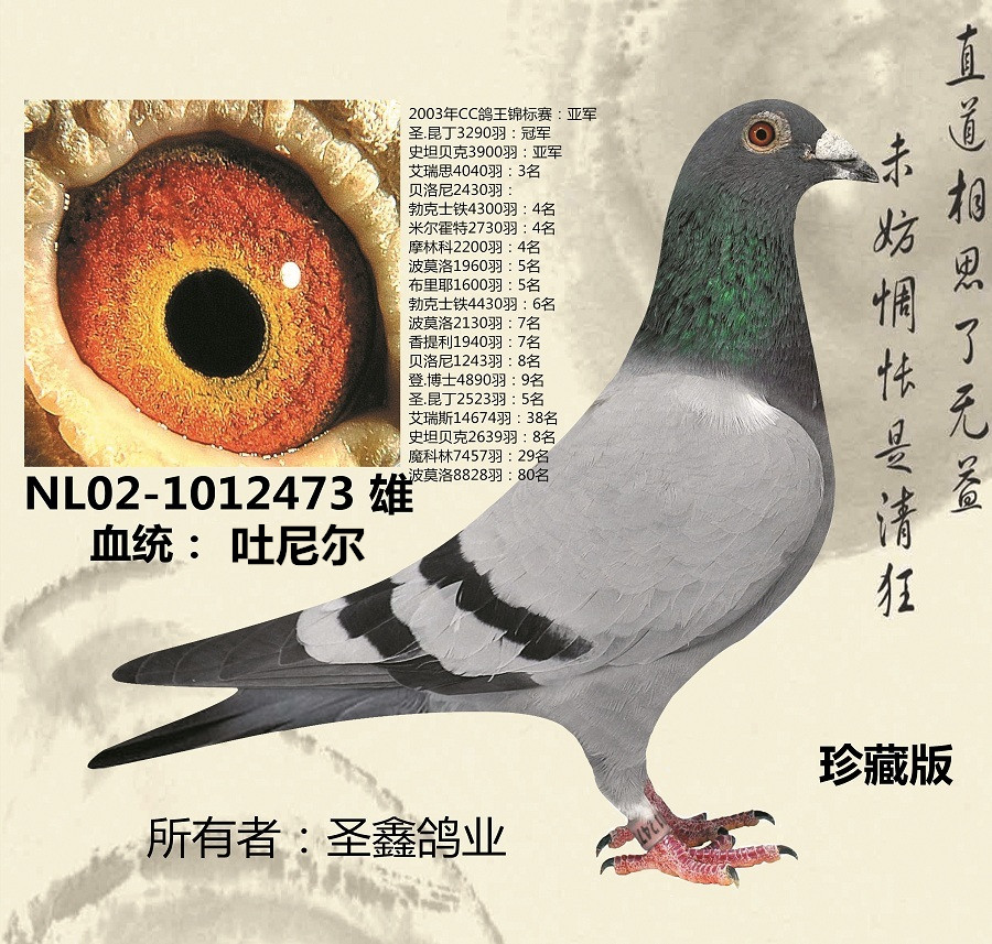 吐尼尔(巨斧)