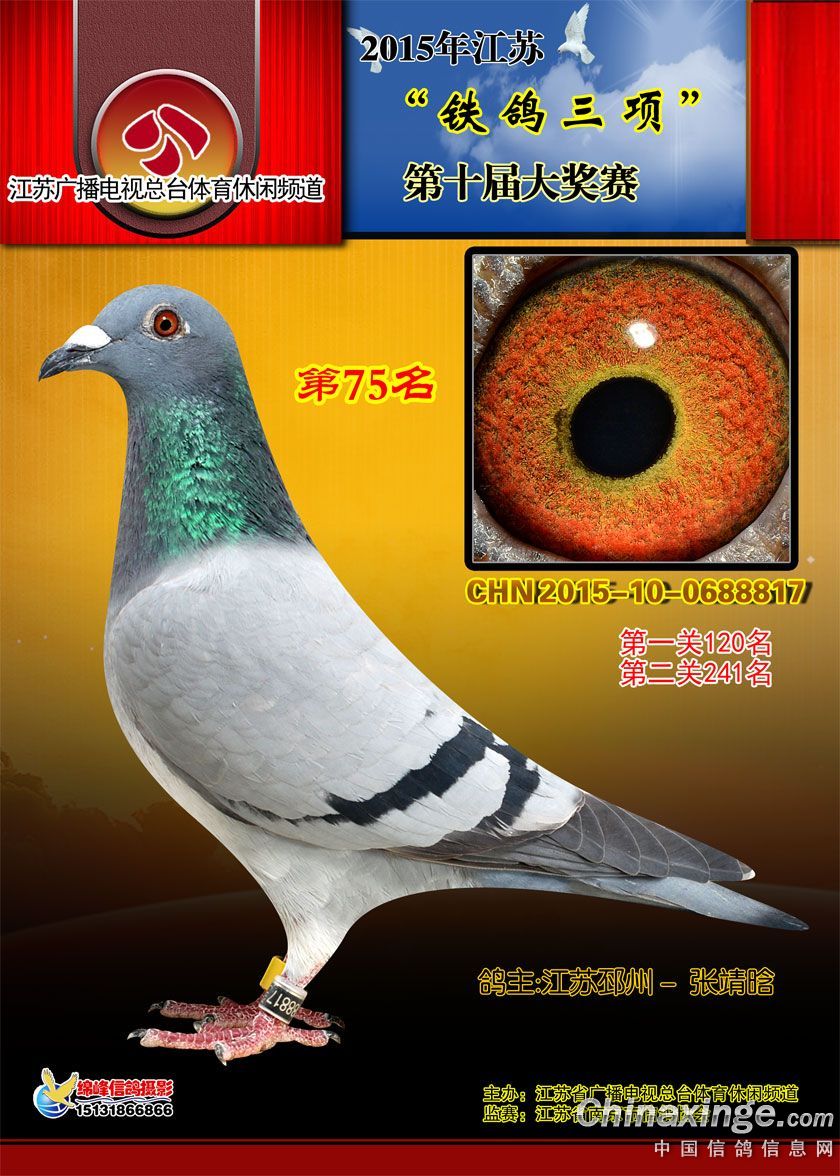 15꽭KF75