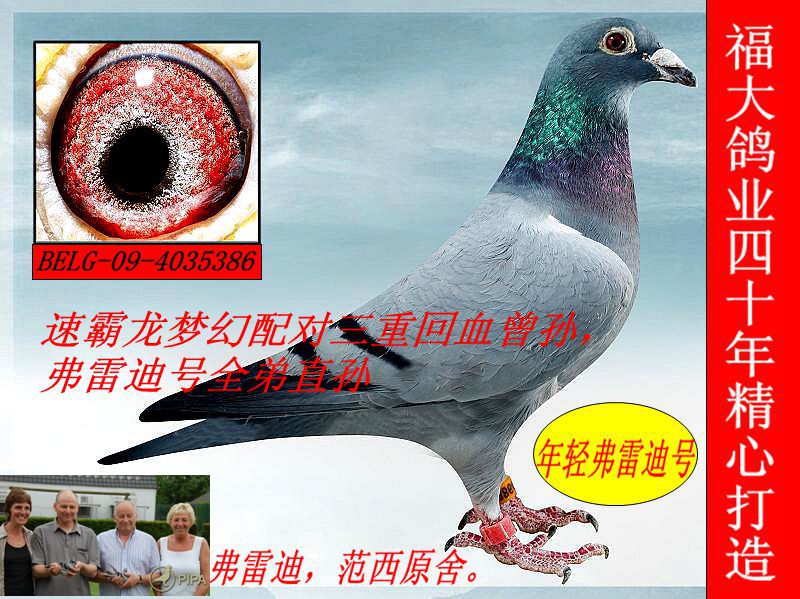 ׵̖ȫֱO