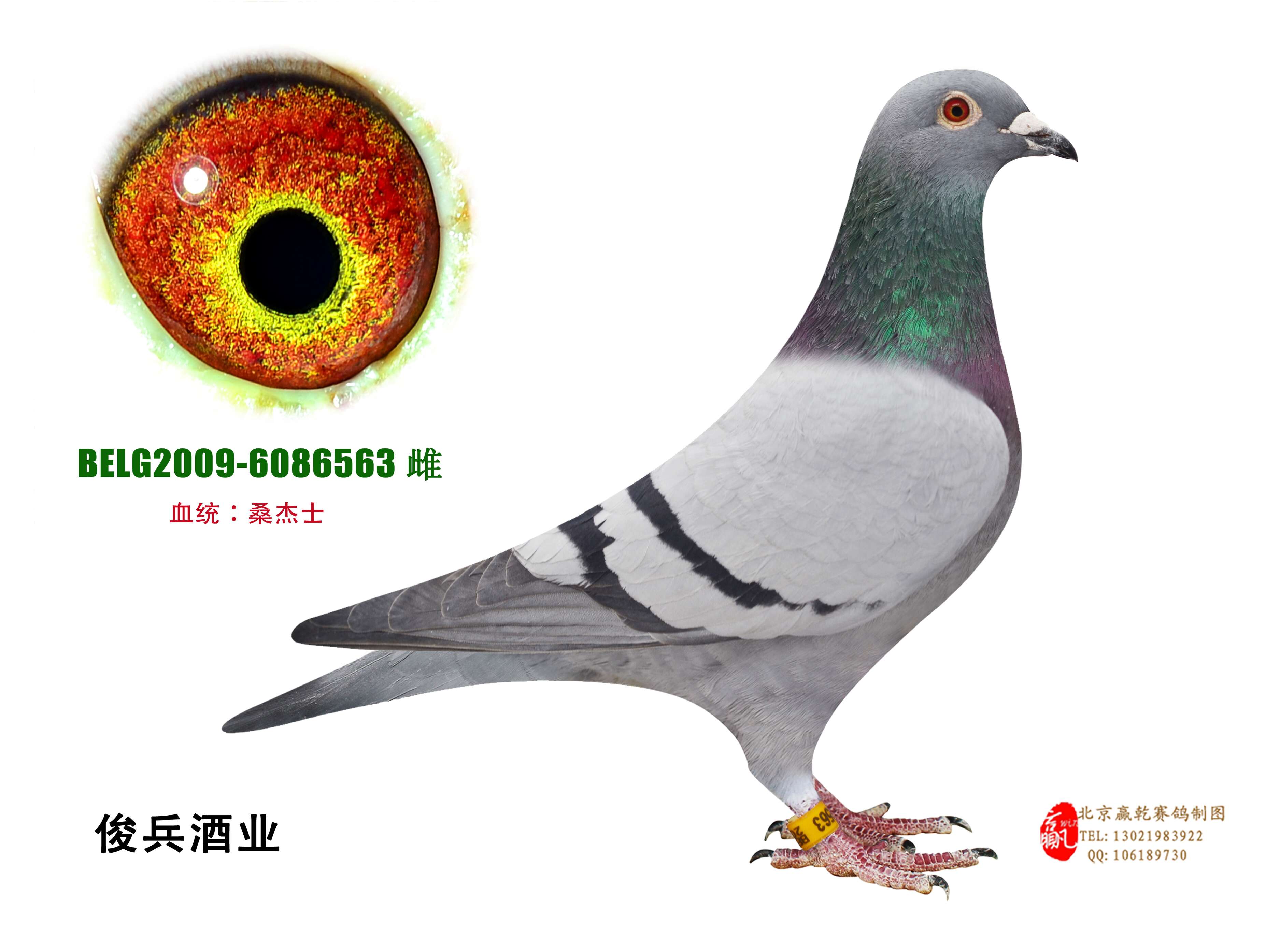 罗森波斯原舍